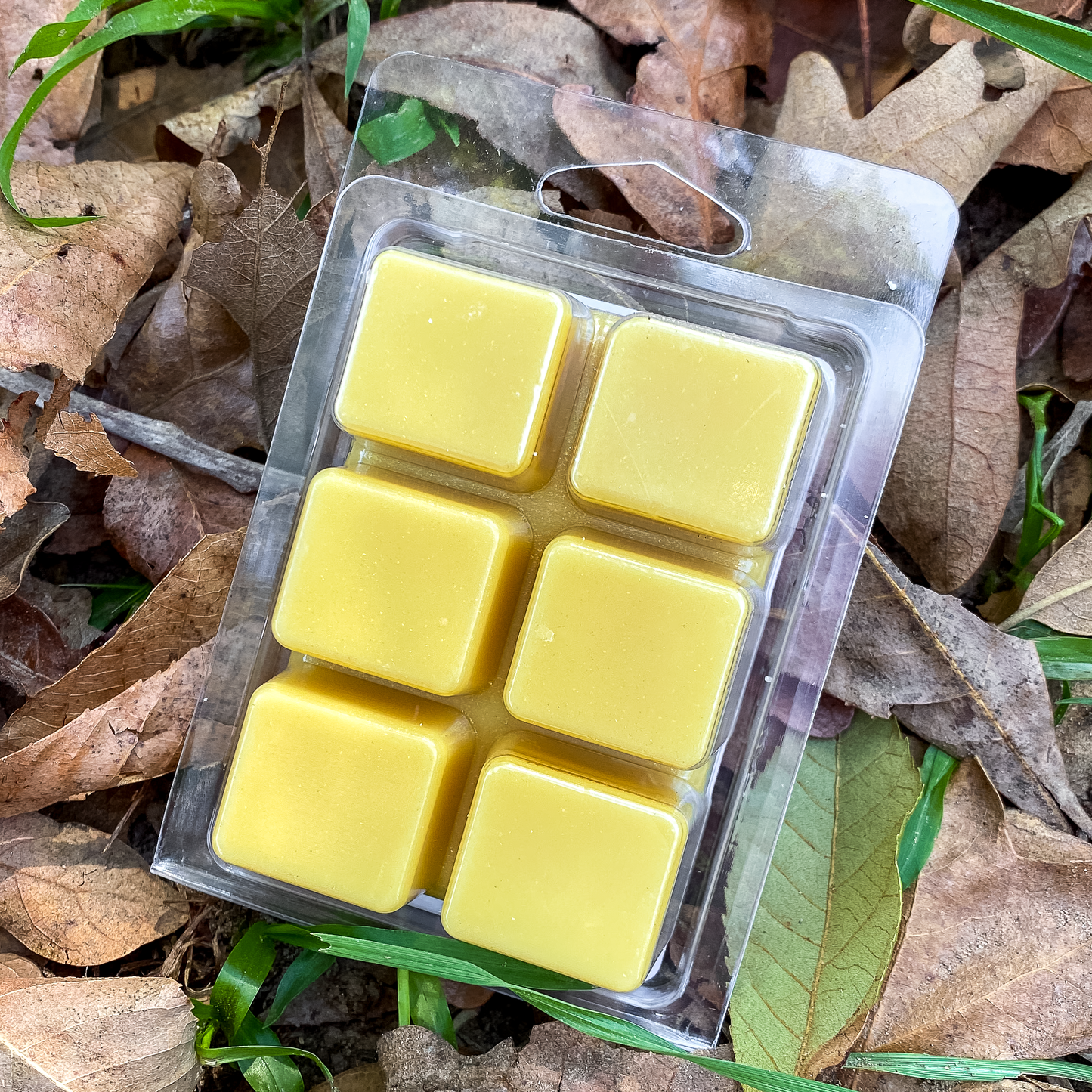 Local Honey Wax Melt