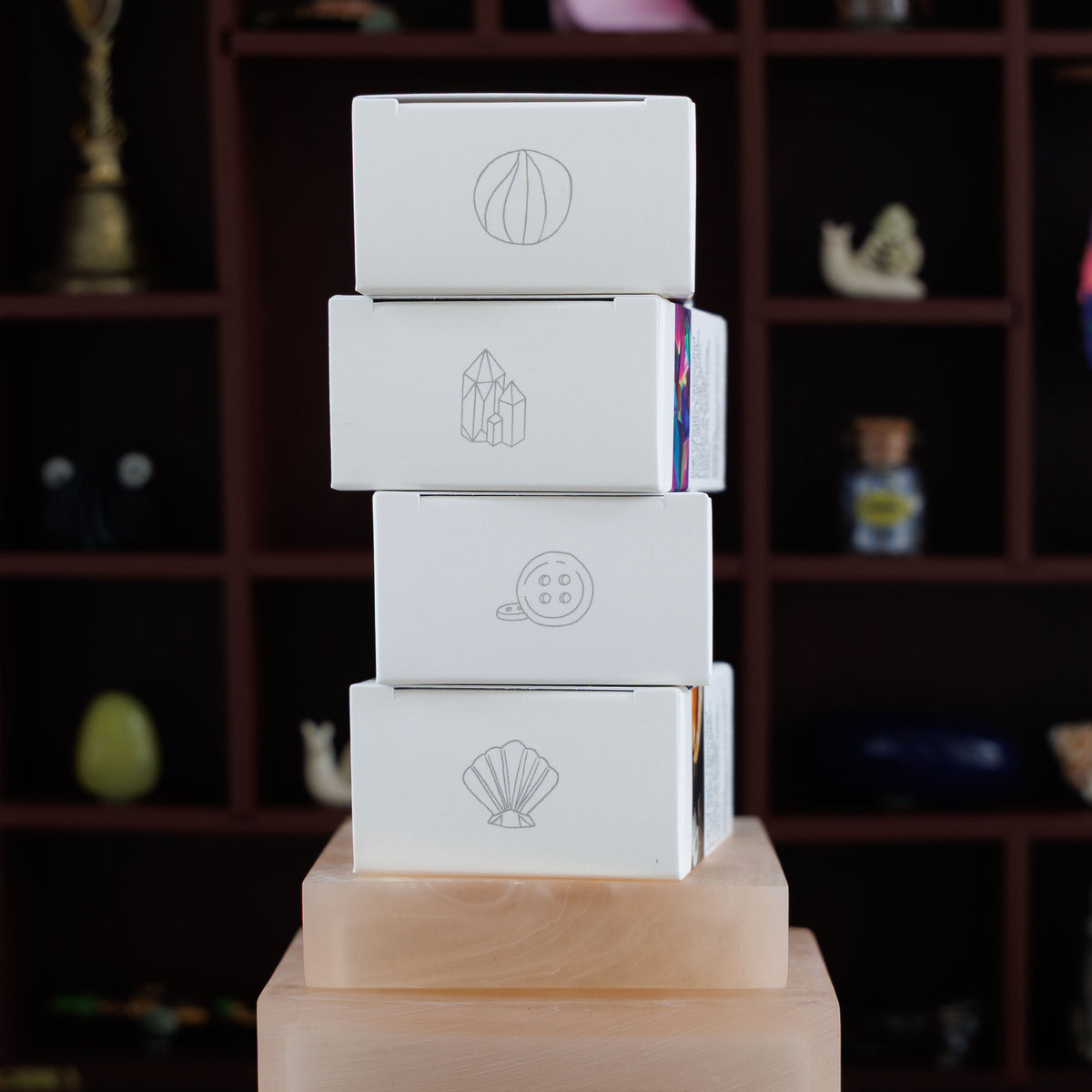 Curiosity Cabinet Artisan Bundle