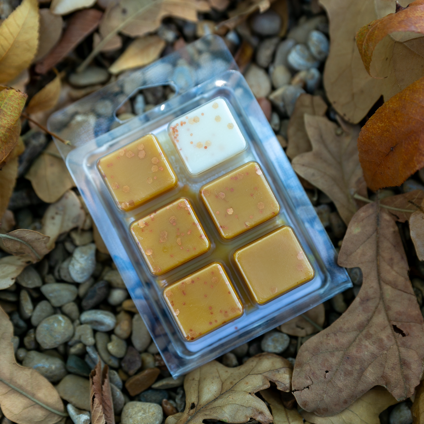 Paumpkin + Marshmallow Wax Melt