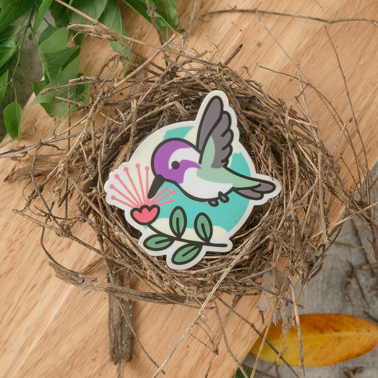 Costa's Hummingbird Sticker
