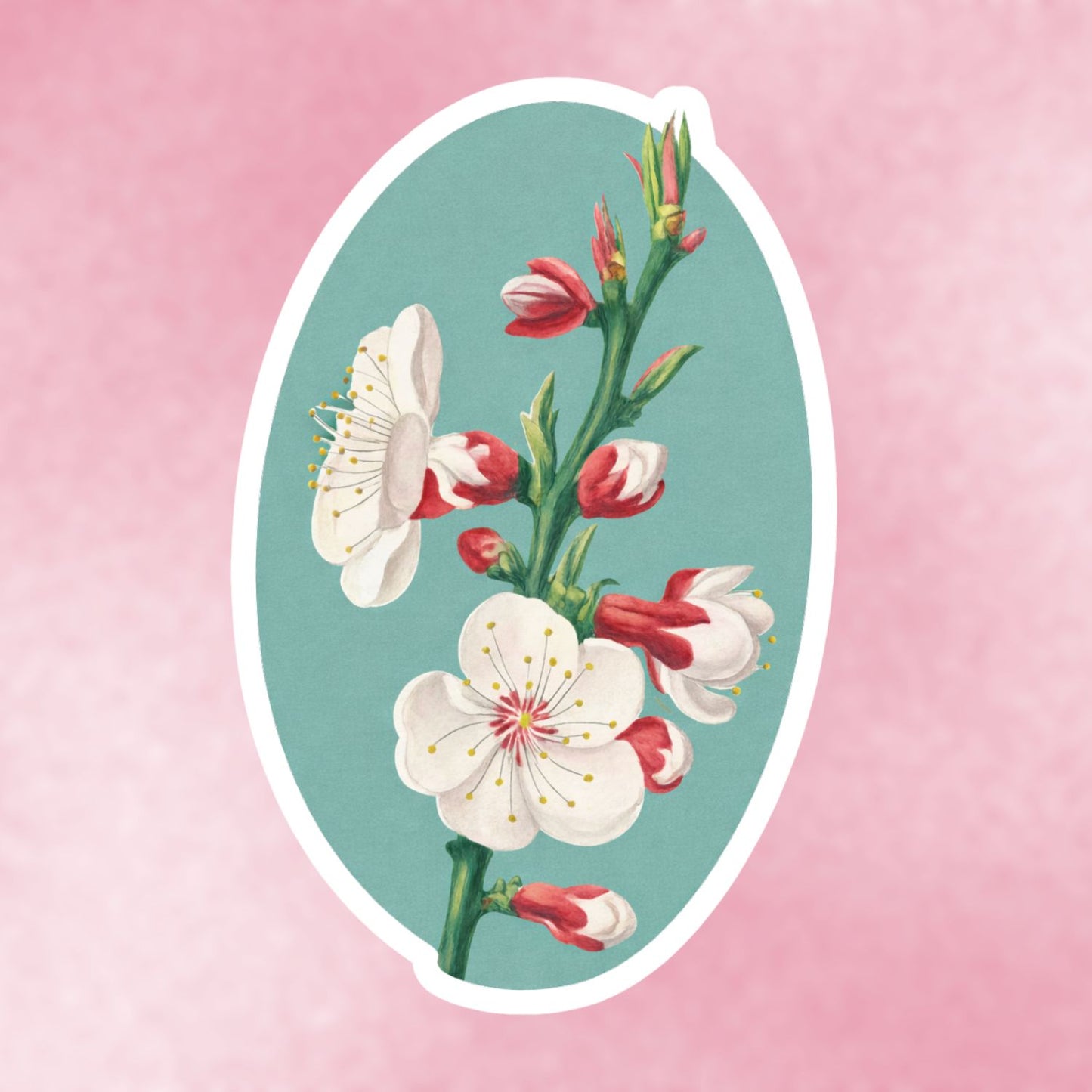 Ume no Hana (Plum Blossom) Sticker