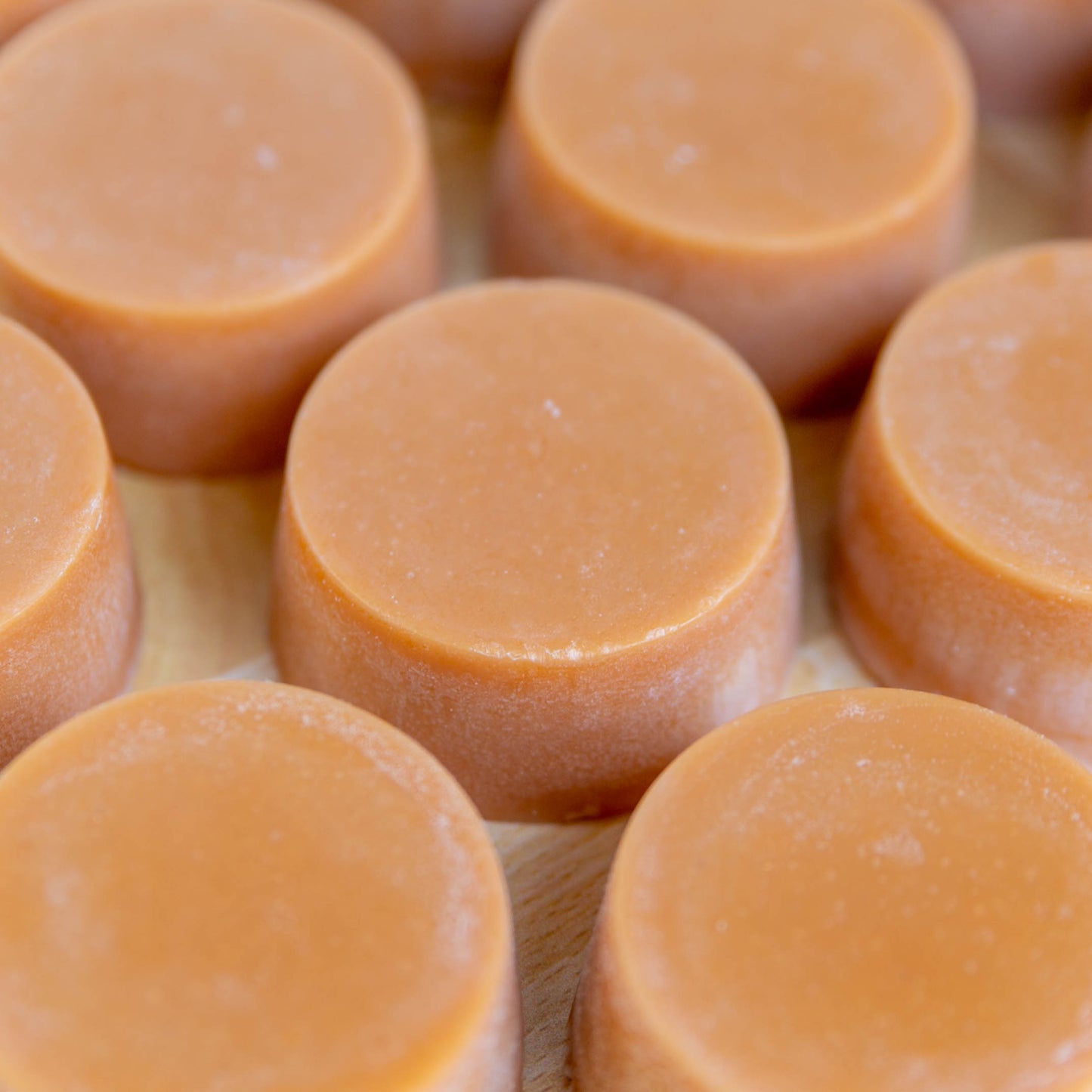 Wild Honey Solid Conditioner Bar