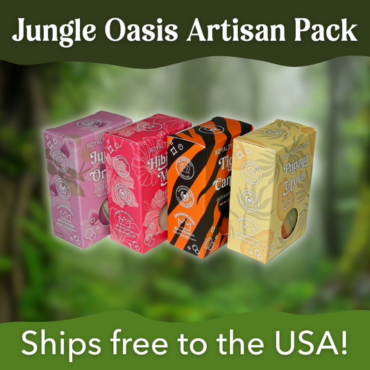 Jungle Oasis Artisan Bundle