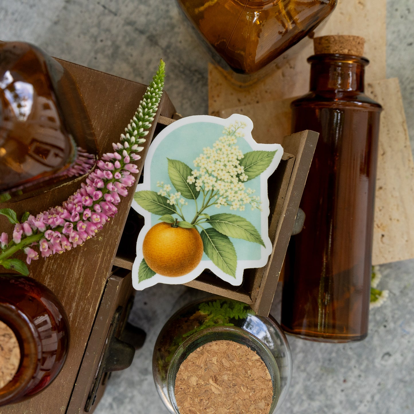 Orange + Elderflower Sticker