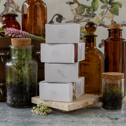 Herbal Apothecary Artisan Bundle