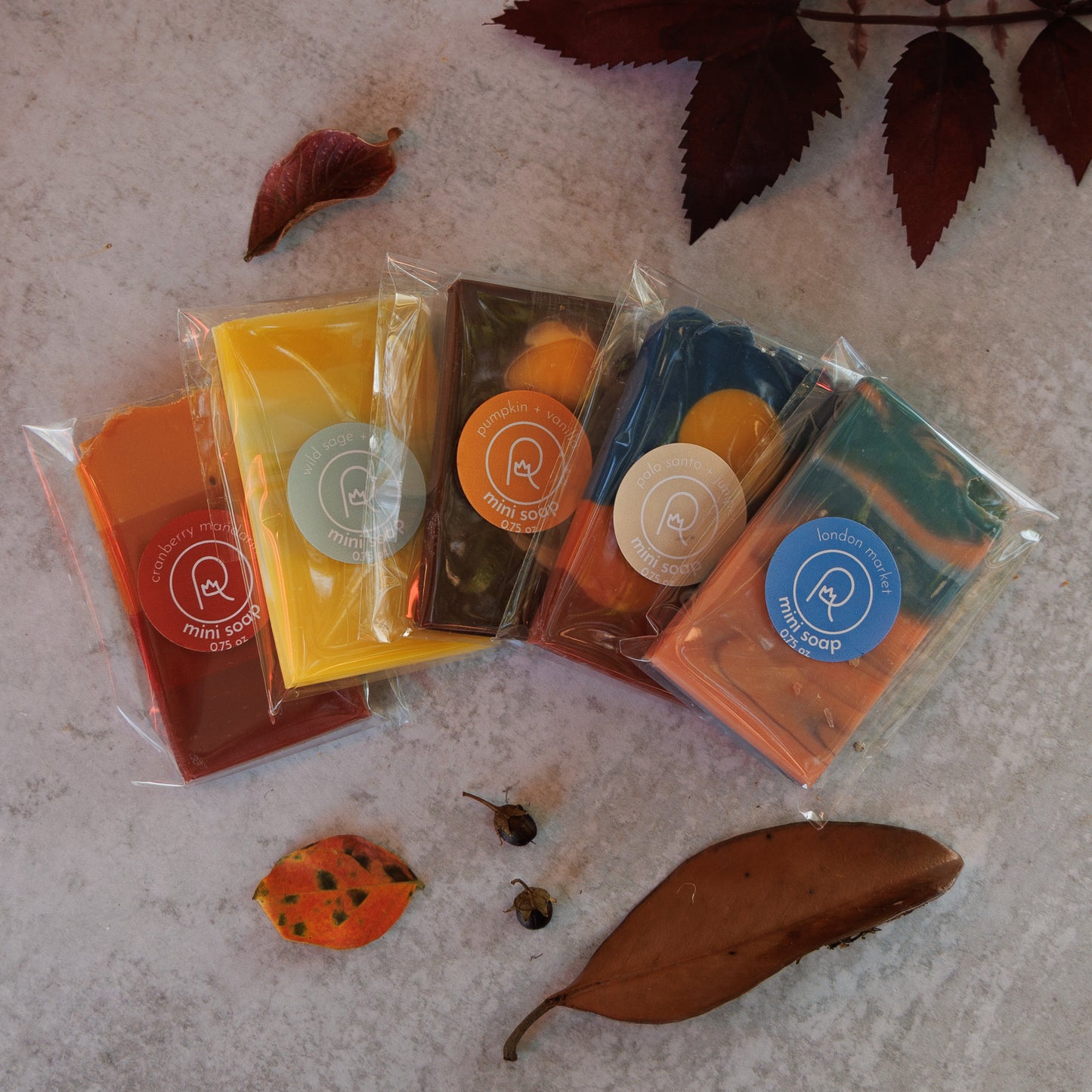 Fall Market Sampler Pack