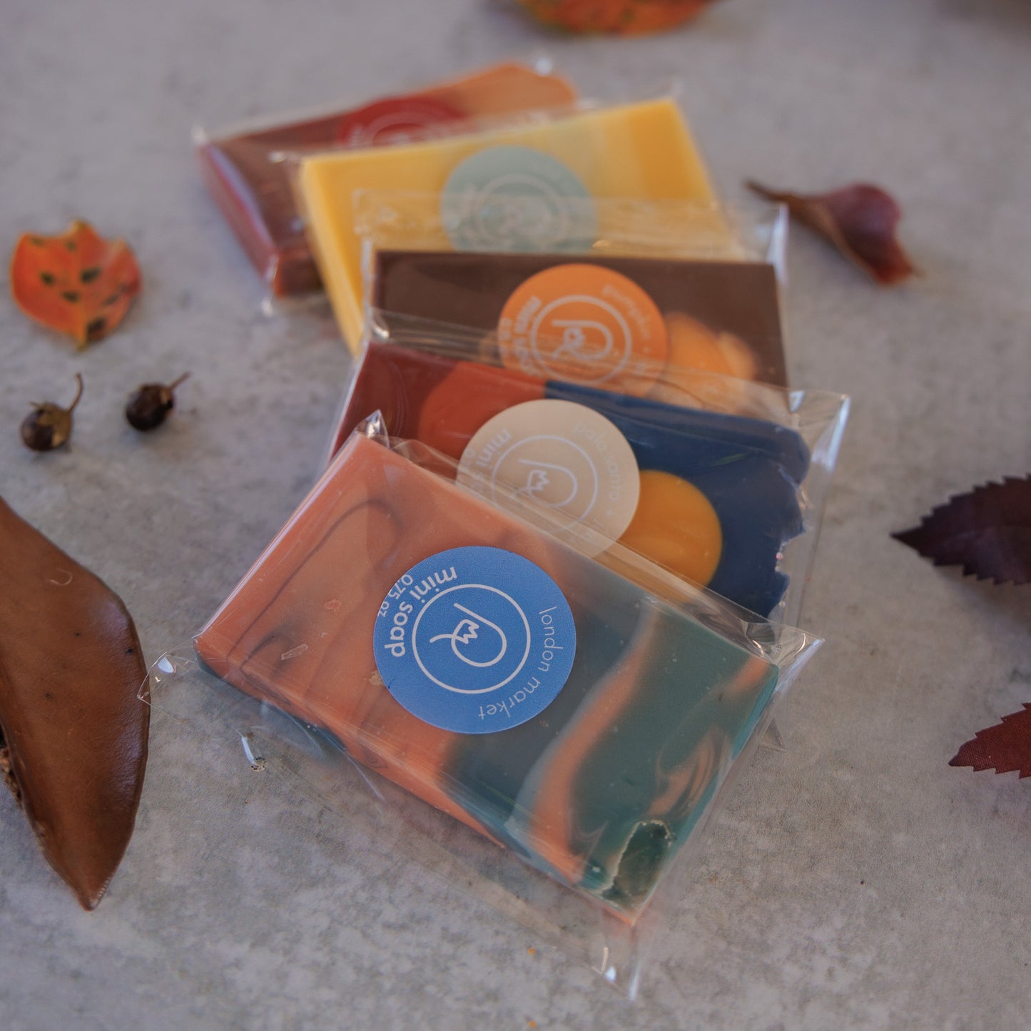 Fall Market Sampler Pack