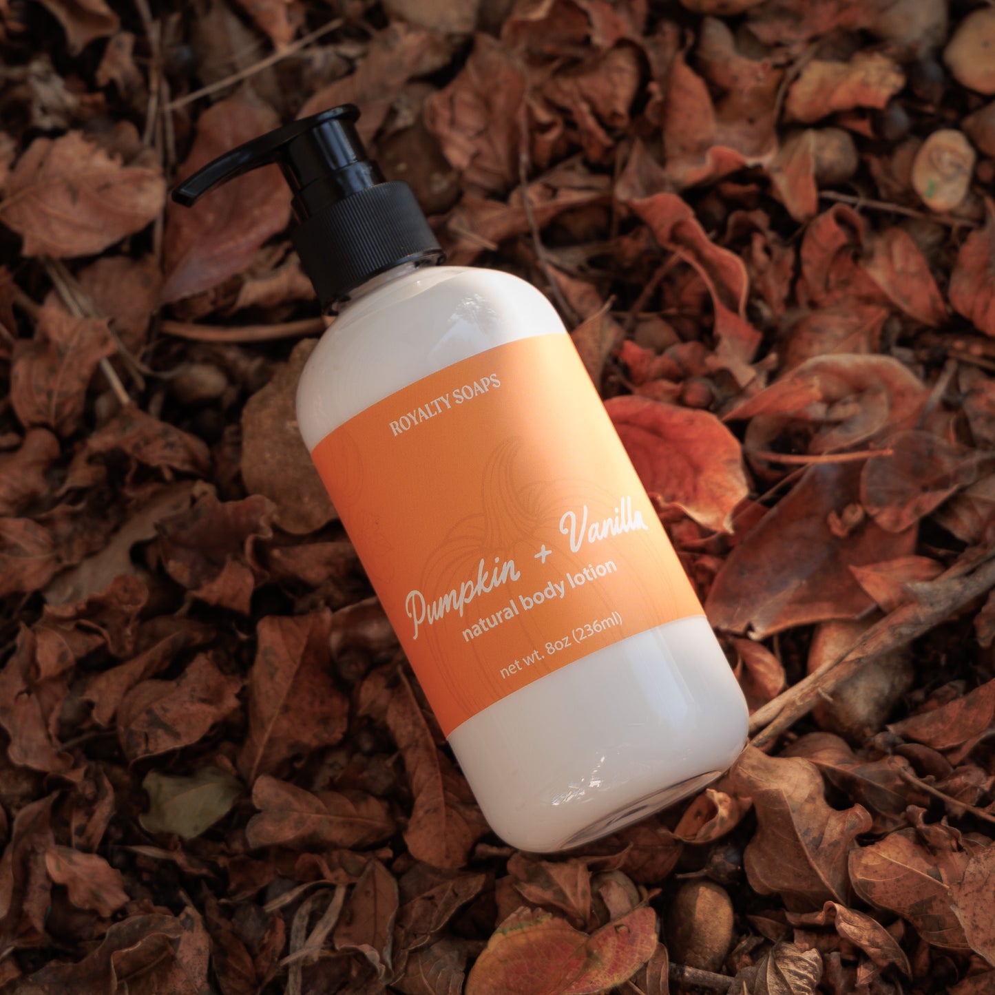Pumpkin + Vanilla Body Lotion