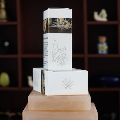 She Seeks Seashells Artisan Soap