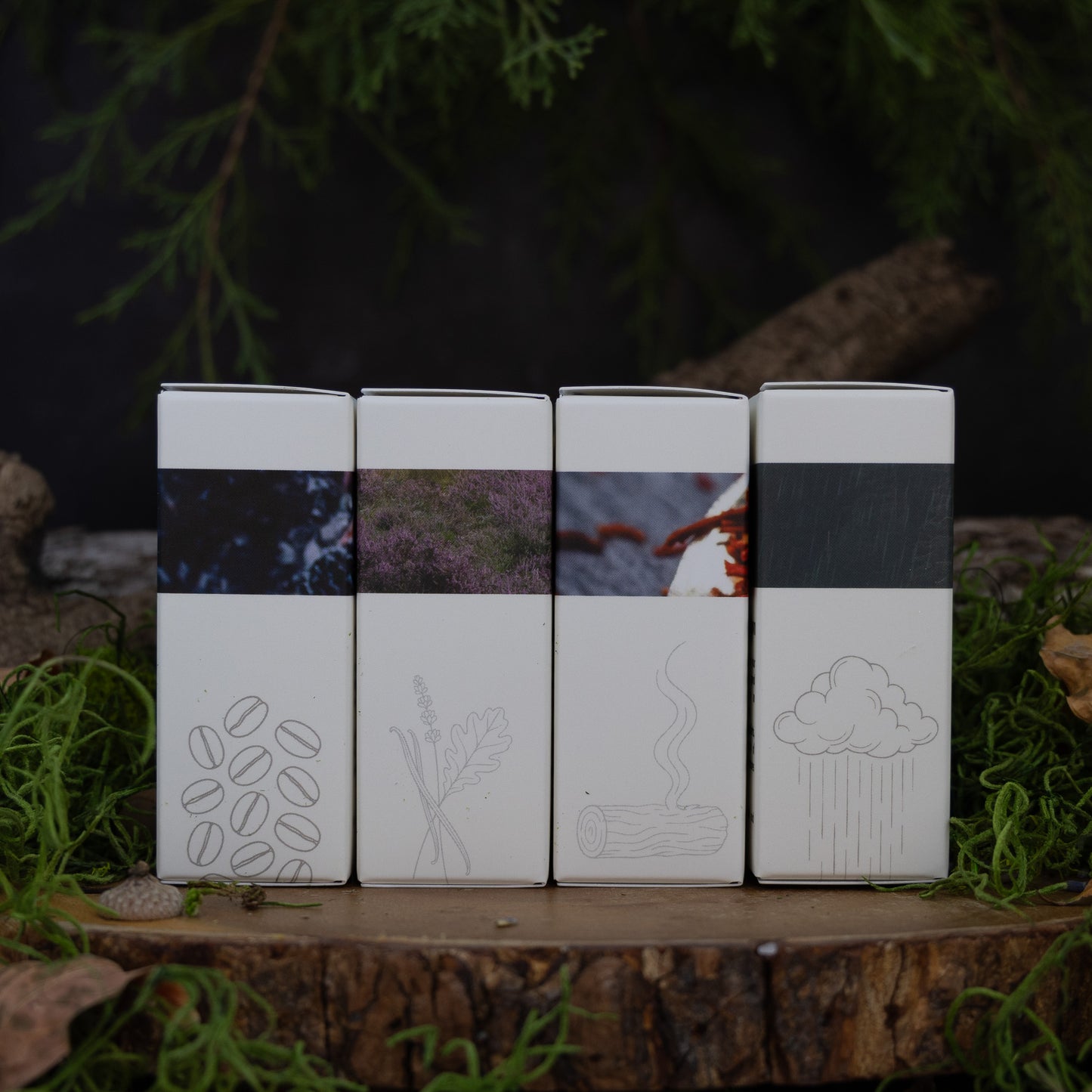 Into the Wilderness Artisan Bundle