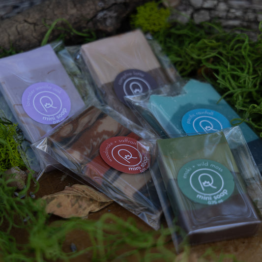 Into the Wilderness Sampler Pack