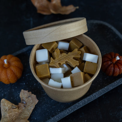 Palo Santo + Juniper Wax Melt
